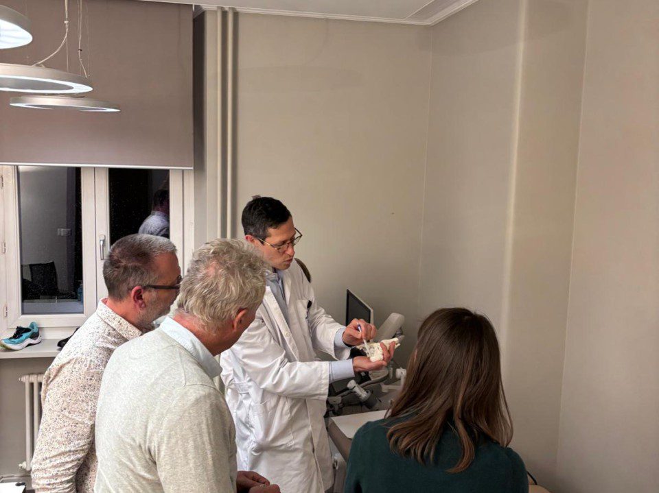 Le pied et la cheville