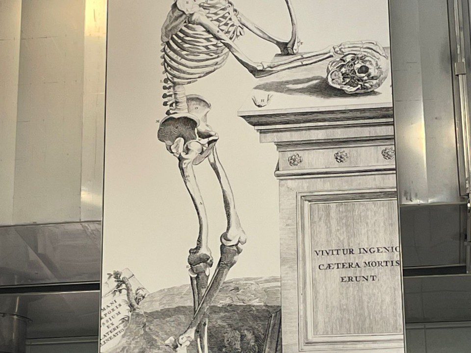 Congratulations to Dr. Lisca