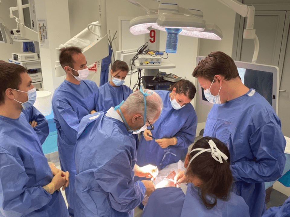 nouvelle session de formation