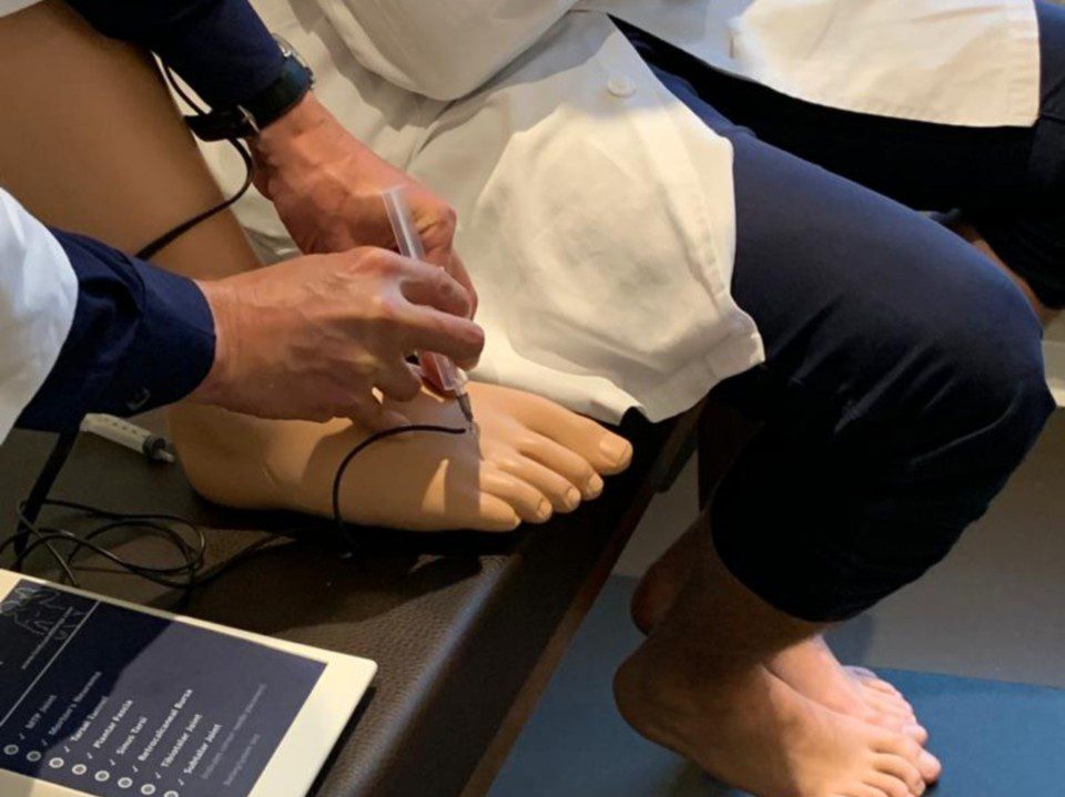 Le pied et la cheville