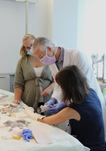 Plâtres et attelles