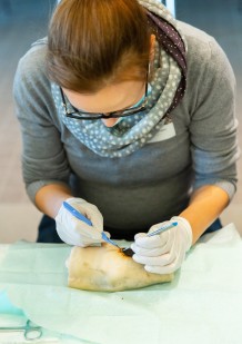 Plâtres et attelles de 1er recours