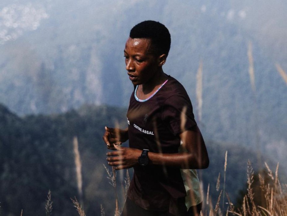 GOLDEN TRAIL WORLD SERIES